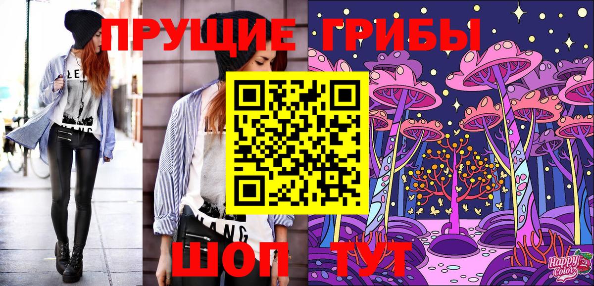 Галлюциногенные грибы Psilocybe Россошь