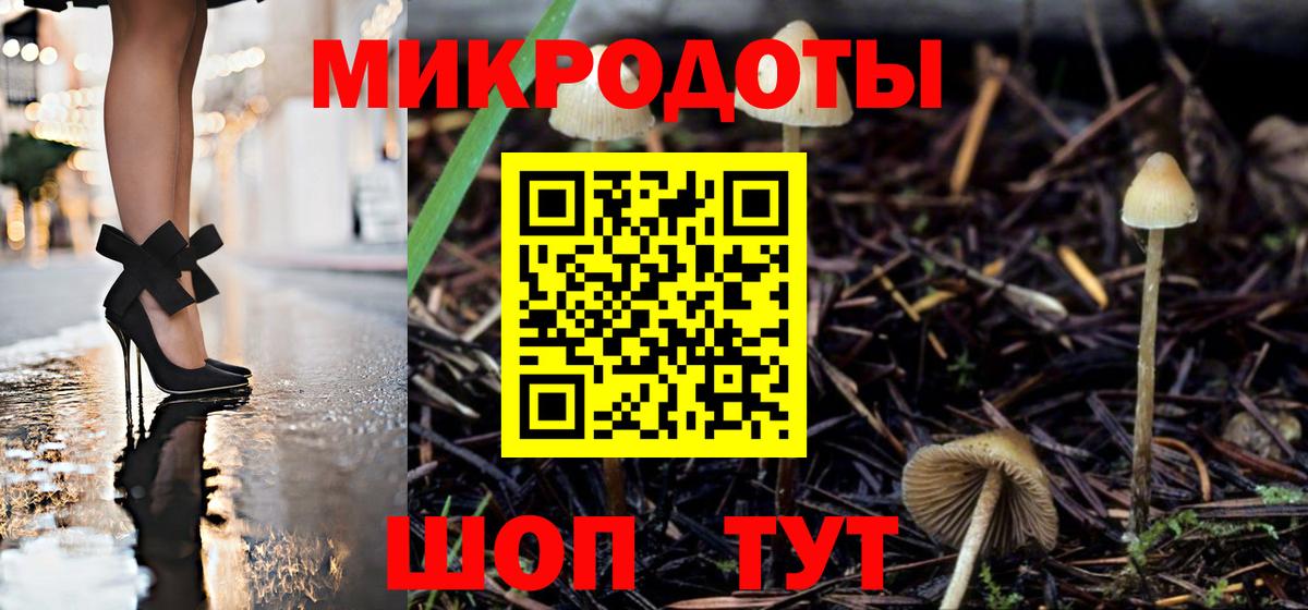 Псилоцибиновые грибы Psilocybine cubensis  Галлюциногенные грибы прущие грибы  Вход с VPN  Россошь 